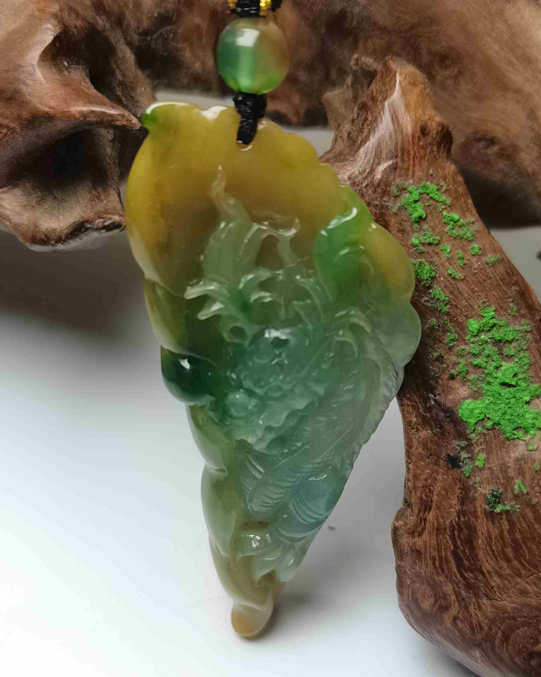 蛟龙得水
