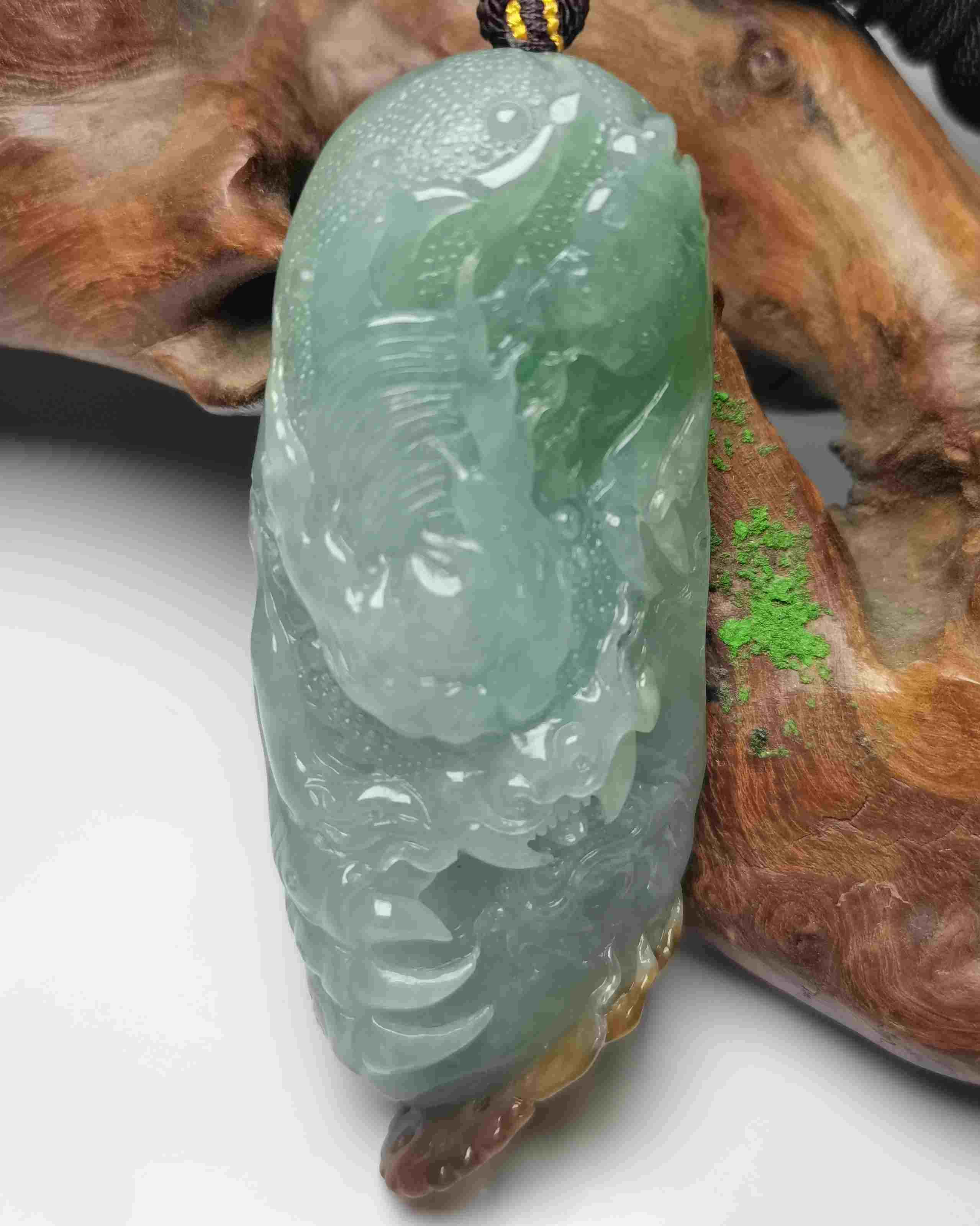 龙腾四海