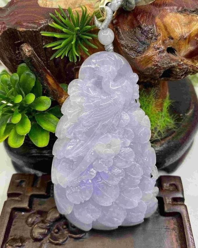 君临天下