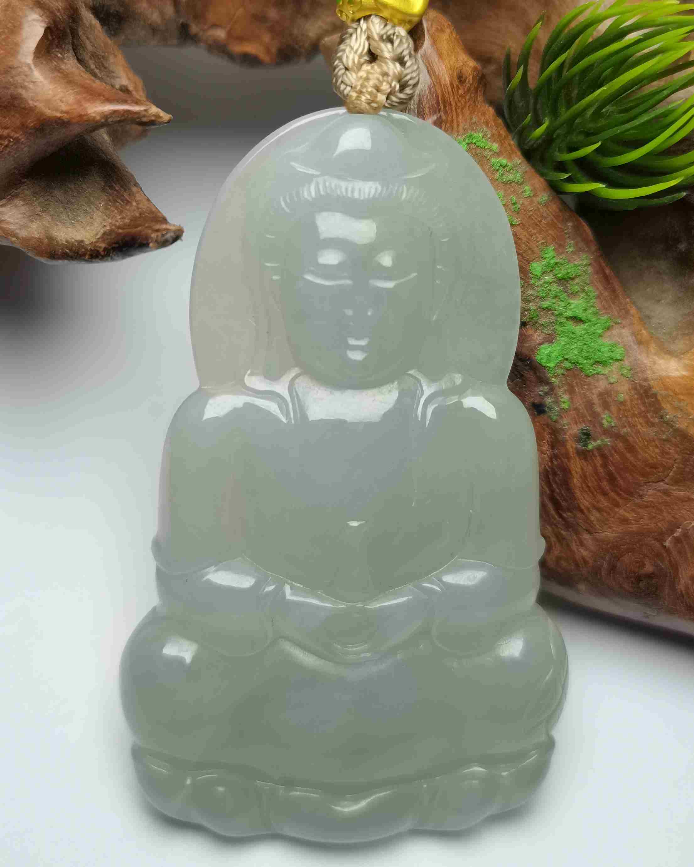 观世天下