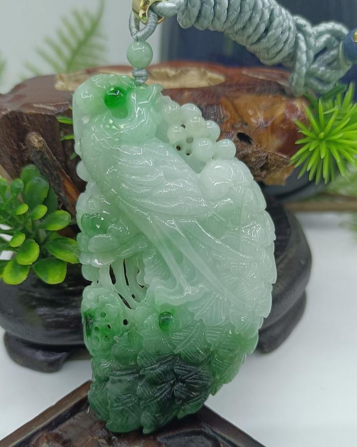 君临天下