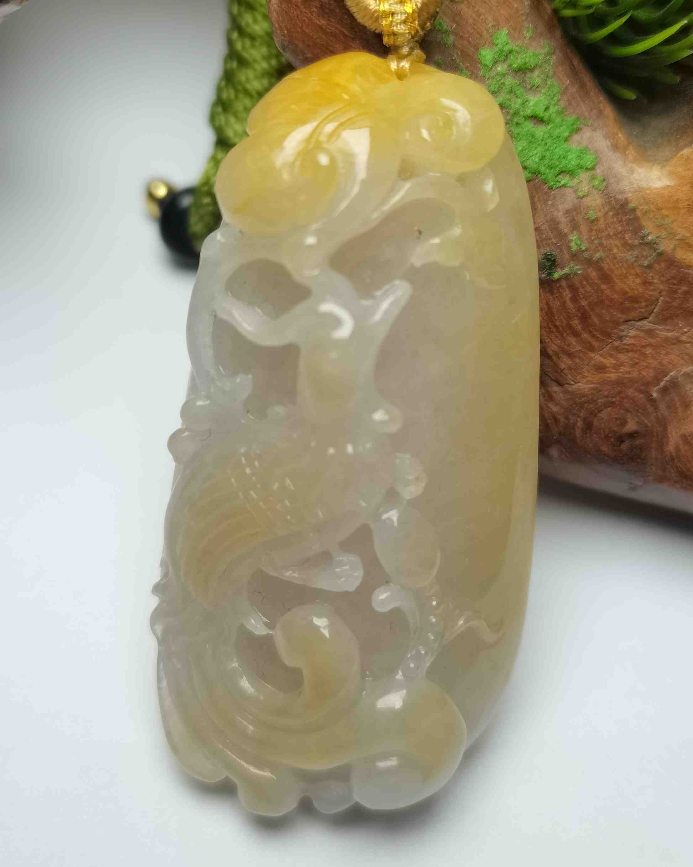 凤仪天下