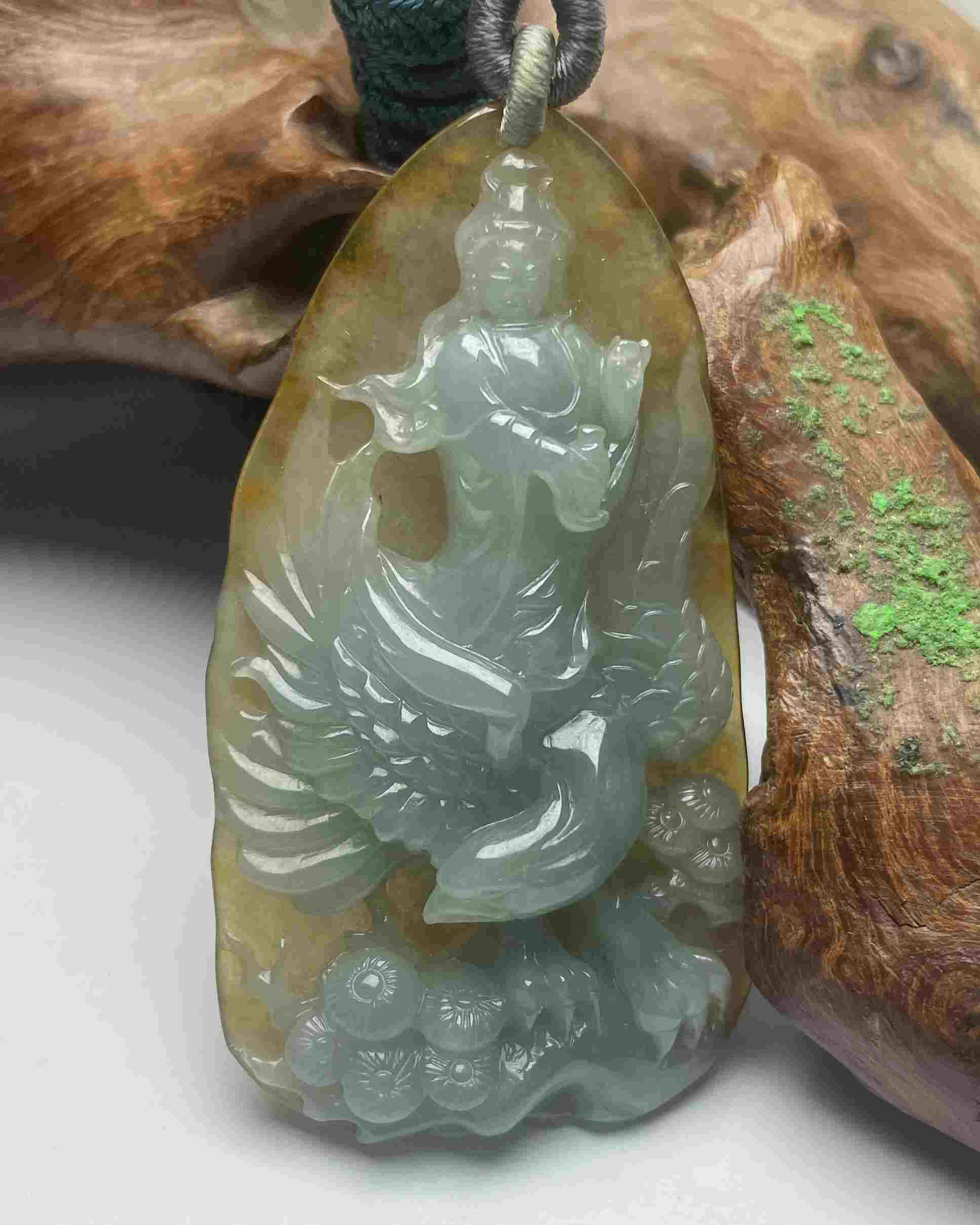 观世天下