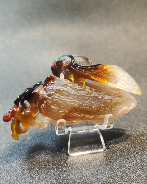 苦尽甘来.一鸣惊人