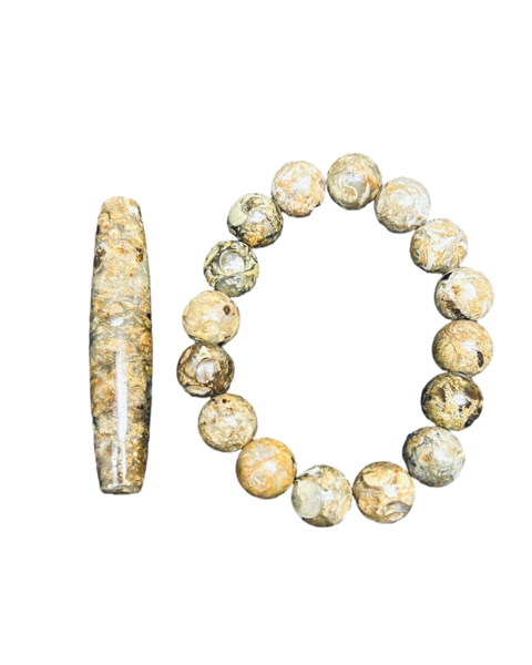 法螺天珠王·收藏款